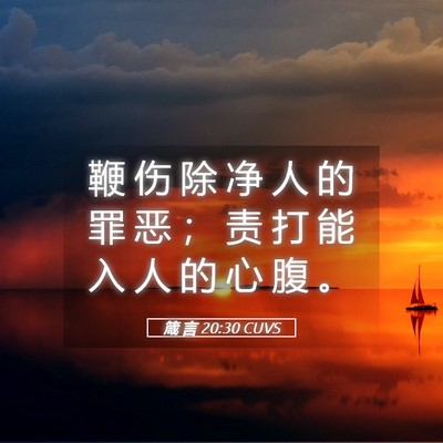 Picture 05 - 箴 言 20:30 CUVS - 鞭 伤 除 净 人 的 罪 恶 ； 责 打 能 - Bible Verse Picture