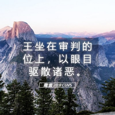 Picture 05 - 箴 言 20:8 CUVS - 王 坐 在 审 判 的 位 上 ， 以 眼 目 - Bible Verse Picture