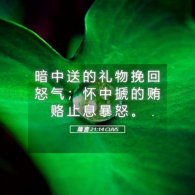 Picture 05 - 箴 言 21:14 CUVS - 暗 中 送 的 礼 物 挽 回 怒 气 ； 怀 - Bible Verse Picture