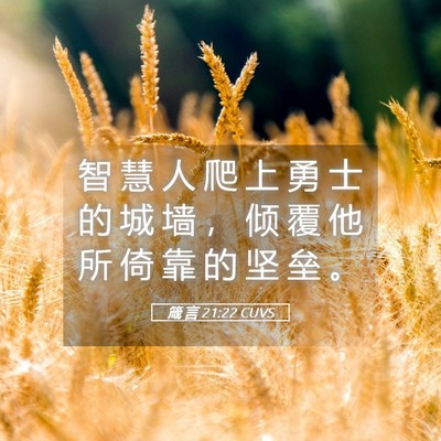 Picture 05 - 箴 言 21:22 CUVS - 智 慧 人 爬 上 勇 士 的 城 墙 ， 倾 - Bible Verse Picture