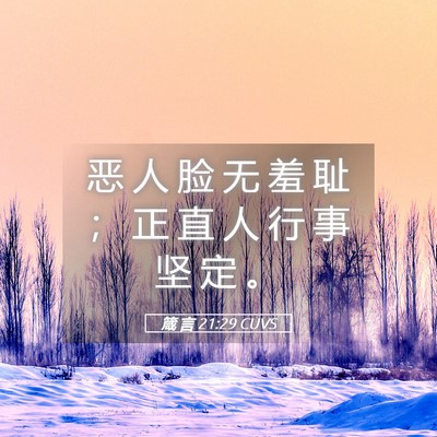 Picture 05 - 箴 言 21:29 CUVS - 恶 人 脸 无 羞 耻 ； 正 直 人 行 事 - Bible Verse Picture