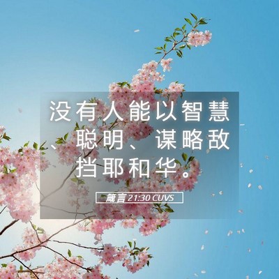 Picture 05 - 箴 言 21:30 CUVS - 没 有 人 能 以 智 慧 、 聪 明 、 谋 - Bible Verse Picture