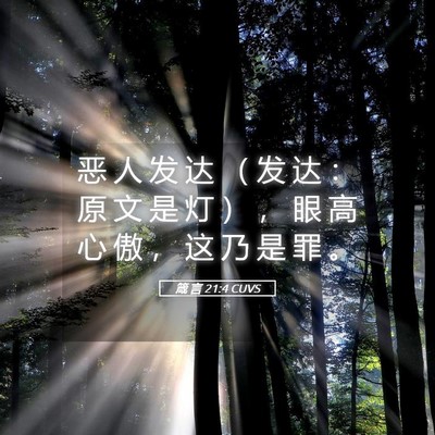 Picture 05 - 箴 言 21:4 CUVS - 恶 人 发 达 （ 发 达 ： 原 文 是 灯 - Bible Verse Picture