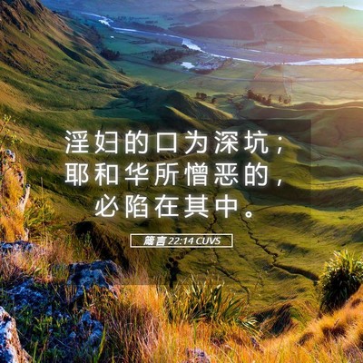 Picture 05 - 箴 言 22:14 CUVS - 淫 妇 的 口 为 深 坑 ； 耶 和 华 所 - Bible Verse Picture