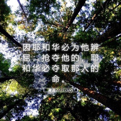 Picture 05 - 箴 言 22:23 CUVS - 因 耶 和 华 必 为 他 辨 屈 ； 抢 夺 - Bible Verse Picture