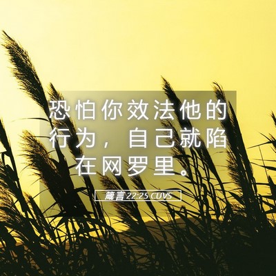 Picture 05 - 箴 言 22:25 CUVS - 恐 怕 你 效 法 他 的 行 为 ， 自 己 - Bible Verse Picture