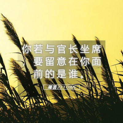 Picture 05 - 箴 言 23:1 CUVS - 你 若 与 官 长 坐 席 ， 要 留 意 在 - Bible Verse Picture