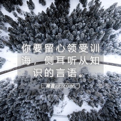 Picture 05 - 箴 言 23:12 CUVS - 你 要 留 心 领 受 训 诲 ， 侧 耳 听 - Bible Verse Picture