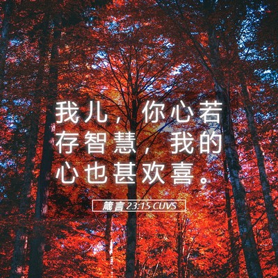 Picture 05 - 箴 言 23:15 CUVS - 我 儿 ， 你 心 若 存 智 慧 ， 我 的 - Bible Verse Picture