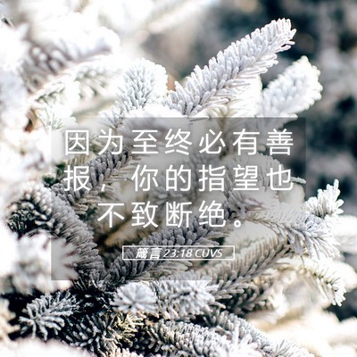 Picture 05 - 箴 言 23:18 CUVS - 因 为 至 终 必 有 善 报 ， 你 的 指 - Bible Verse Picture