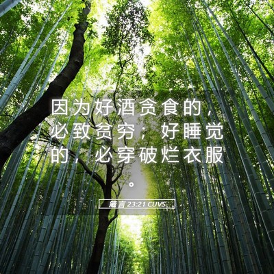 Picture 05 - 箴 言 23:21 CUVS - 因 为 好 酒 贪 食 的 ， 必 致 贫 穷 - Bible Verse Picture