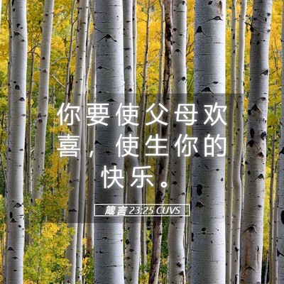 Picture 05 - 箴 言 23:25 CUVS - 你 要 使 父 母 欢 喜 ， 使 生 你 的 - Bible Verse Picture