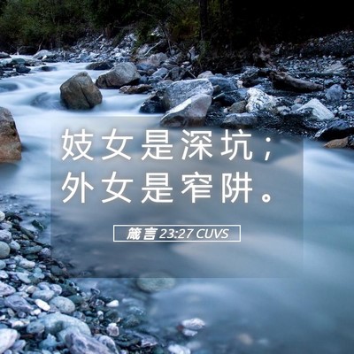 Picture 05 - 箴 言 23:27 CUVS - 妓 女 是 深 坑 ； 外 女 是 窄 阱 - Bible Verse Picture