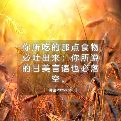 Picture 05 - 箴 言 23:8 CUVS - 你 所 吃 的 那 点 食 物 必 吐 出 来 - Bible Verse Picture