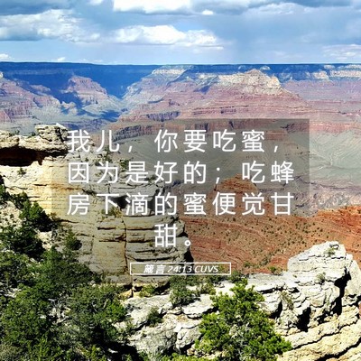 Picture 05 - 箴 言 24:13 CUVS - 我 儿 ， 你 要 吃 蜜 ， 因 为 是 好 - Bible Verse Picture