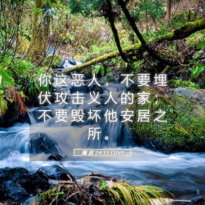 Picture 05 - 箴 言 24:15 CUVS - 你 这 恶 人 ， 不 要 埋 伏 攻 击 义 - Bible Verse Picture