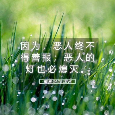 Picture 05 - 箴 言 24:20 CUVS - 因 为 ， 恶 人 终 不 得 善 报 ； 恶 - Bible Verse Picture