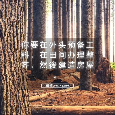 Picture 05 - 箴 言 24:27 CUVS - 你 要 在 外 头 预 备 工 料 ， 在 田 - Bible Verse Picture