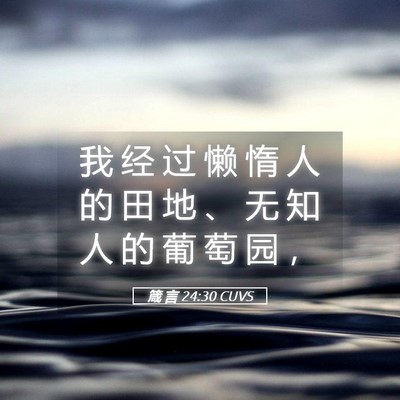 Picture 05 - 箴 言 24:30 CUVS - 我 经 过 懒 惰 人 的 田 地 、 无 知 - Bible Verse Picture