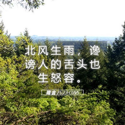 Picture 05 - 箴 言 25:23 CUVS - 北 风 生 雨 ， 谗 谤 人 的 舌 头 也 - Bible Verse Picture