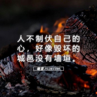 Picture 05 - 箴 言 25:28 CUVS - 人 不 制 伏 自 己 的 心 ， 好 像 毁 - Bible Verse Picture