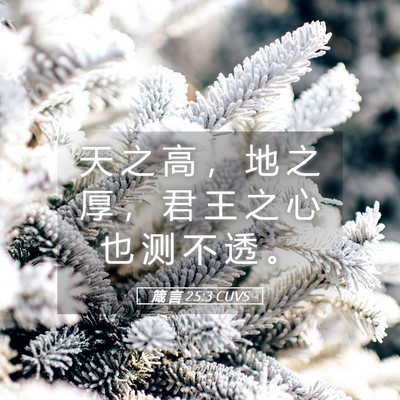 Picture 05 - 箴 言 25:3 CUVS - 天 之 高 ， 地 之 厚 ， 君 王 之 心 - Bible Verse Picture