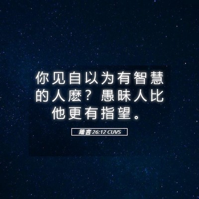 Picture 05 - 箴 言 26:12 CUVS - 你 见 自 以 为 有 智 慧 的 人 麽 ？ - Bible Verse Picture