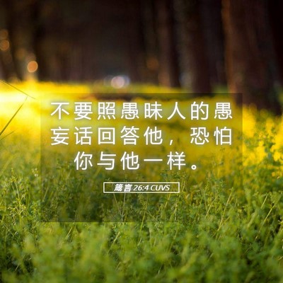 Picture 05 - 箴 言 26:4 CUVS - 不 要 照 愚 昧 人 的 愚 妄 话 回 答 - Bible Verse Picture