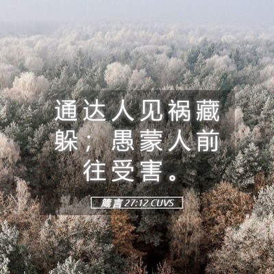 Picture 05 - 箴 言 27:12 CUVS - 通 达 人 见 祸 藏 躲 ； 愚 蒙 人 前 - Bible Verse Picture