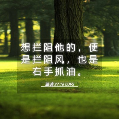 Picture 05 - 箴 言 27:16 CUVS - 想 拦 阻 他 的 ， 便 是 拦 阻 风 ， - Bible Verse Picture
