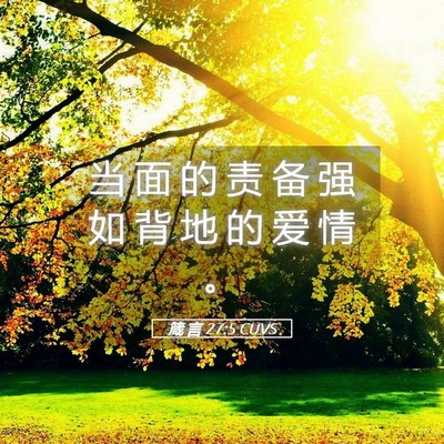 Picture 05 - 箴 言 27:5 CUVS - 当 面 的 责 备 强 如 背 地 的 爱 情 - Bible Verse Picture