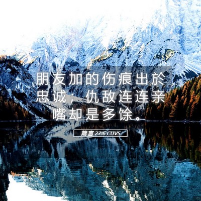 Picture 05 - 箴 言 27:6 CUVS - 朋 友 加 的 伤 痕 出 於 忠 诚 ； 仇 - Bible Verse Picture