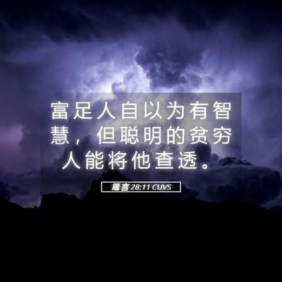Picture 05 - 箴 言 28:11 CUVS - 富 足 人 自 以 为 有 智 慧 ， 但 聪 - Bible Verse Picture