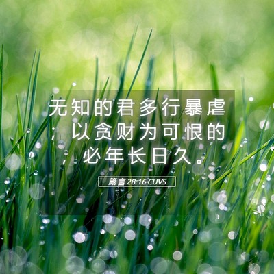 Picture 05 - 箴 言 28:16 CUVS - 无 知 的 君 多 行 暴 虐 ； 以 贪 财 - Bible Verse Picture