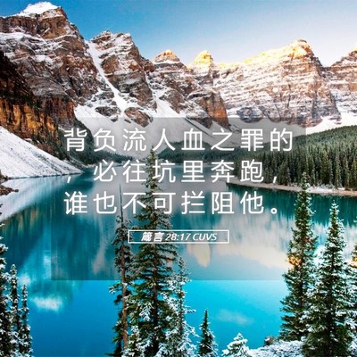 Picture 05 - 箴 言 28:17 CUVS - 背 负 流 人 血 之 罪 的 ， 必 往 坑 - Bible Verse Picture