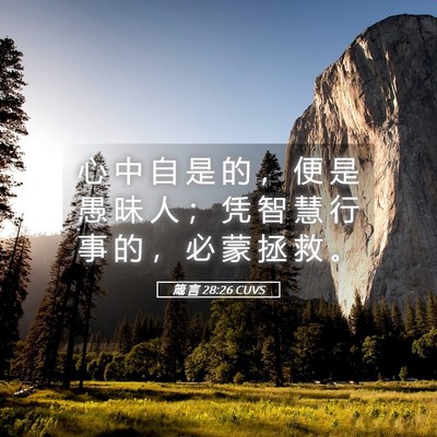Picture 05 - 箴 言 28:26 CUVS - 心 中 自 是 的 ， 便 是 愚 昧 人 ； - Bible Verse Picture