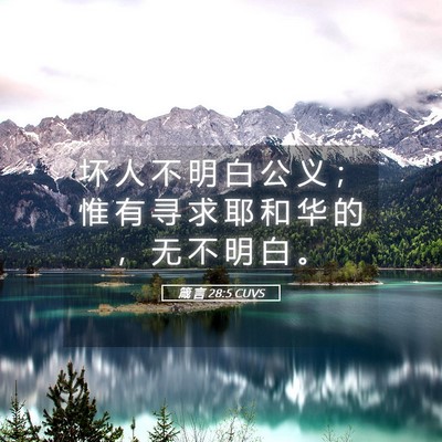 Picture 05 - 箴 言 28:5 CUVS - 坏 人 不 明 白 公 义 ； 惟 有 寻 求 - Bible Verse Picture