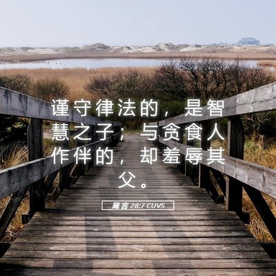 Picture 05 - 箴 言 28:7 CUVS - 谨 守 律 法 的 ， 是 智 慧 之 子 ； - Bible Verse Picture