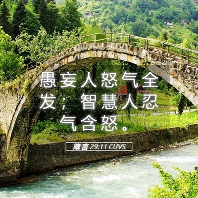 Picture 05 - 箴 言 29:11 CUVS - 愚 妄 人 怒 气 全 发 ； 智 慧 人 忍 - Bible Verse Picture