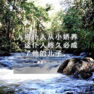 Picture 05 - 箴 言 29:21 CUVS - 人 将 仆 人 从 小 娇 养 ， 这 仆 人 - Bible Verse Picture