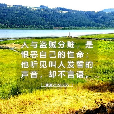 Picture 05 - 箴 言 29:24 CUVS - 人 与 盗 贼 分 赃 ， 是 恨 恶 自 己 - Bible Verse Picture