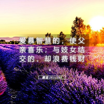 Picture 05 - 箴 言 29:3 CUVS - 爱 慕 智 慧 的 ， 使 父 亲 喜 乐 ； - Bible Verse Picture