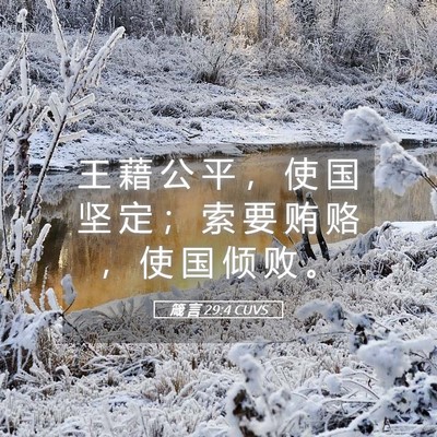Picture 05 - 箴 言 29:4 CUVS - 王 藉 公 平 ， 使 国 坚 定 ； 索 要 - Bible Verse Picture