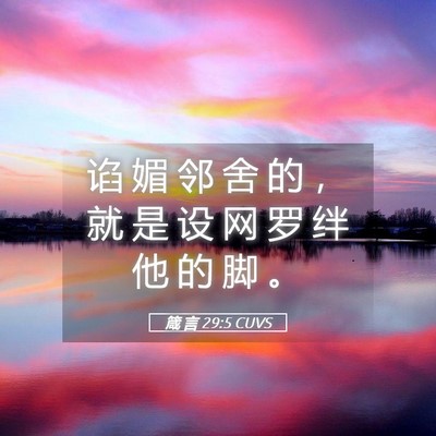 Picture 05 - 箴 言 29:5 CUVS - 谄 媚 邻 舍 的 ， 就 是 设 网 罗 绊 - Bible Verse Picture