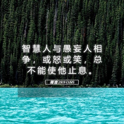 Picture 05 - 箴 言 29:9 CUVS - 智 慧 人 与 愚 妄 人 相 争 ， 或 怒 - Bible Verse Picture
