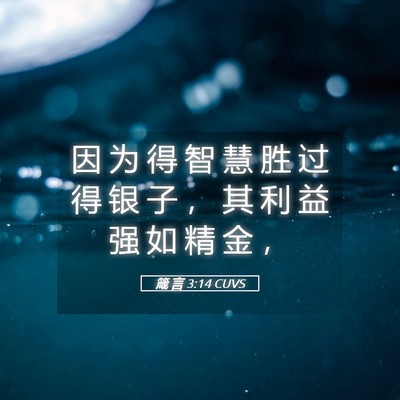 Picture 05 - 箴 言 3:14 CUVS - 因 为 得 智 慧 胜 过 得 银 子 ， 其 - Bible Verse Picture