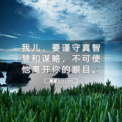 Picture 05 - 箴 言 3:21 CUVS - 我 儿 ， 要 谨 守 真 智 慧 和 谋 略 - Bible Verse Picture