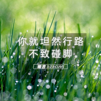Picture 05 - 箴 言 3:23 CUVS - 你 就 坦 然 行 路 ， 不 致 碰 脚 - Bible Verse Picture