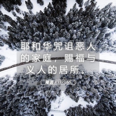 Picture 05 - 箴 言 3:33 CUVS - 耶 和 华 咒 诅 恶 人 的 家 庭 ， 赐 - Bible Verse Picture
