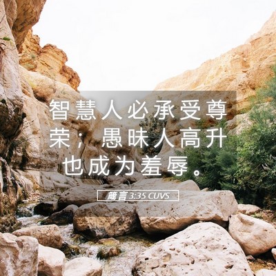 Picture 05 - 箴 言 3:35 CUVS - 智 慧 人 必 承 受 尊 荣 ； 愚 昧 人 - Bible Verse Picture